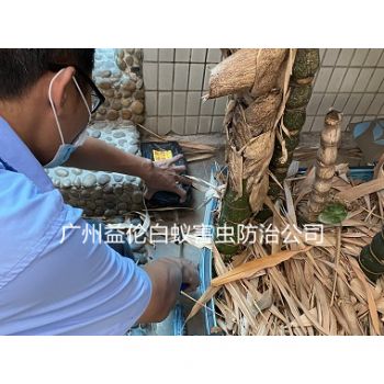 新造鎮(zhèn)白蟻危害防治工程