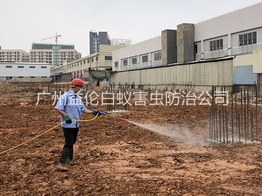 南村新建白蟻預防工程