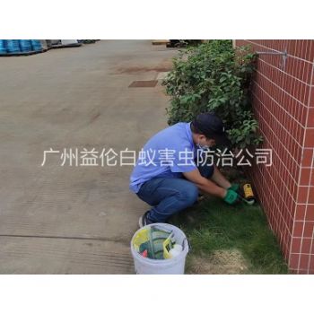 東環(huán)布放滅鼠屋工程